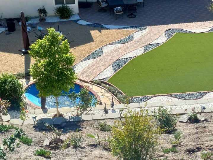 Quetzalito Tree Service